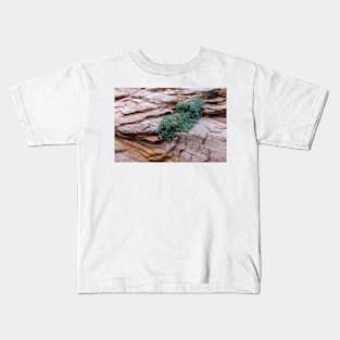 Growing From Rock Terrain of Zion Kids T-Shirt